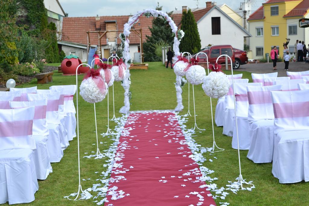Penzion U Blahu Dolany  Rum bild